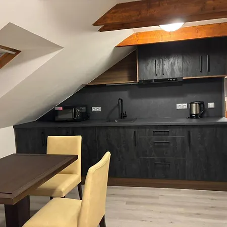 Apartments Gato Karlovy Vary Jenisov Exterior photo