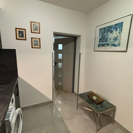 Apartments Gato Karlovy Vary Jenisov Exterior photo
