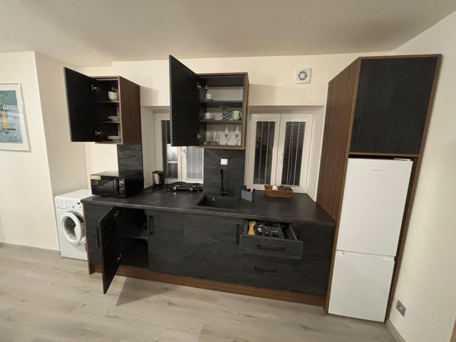 Gato Jenisov * Karlsbad